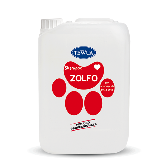 SHAMPO ZOLFO X SEBOREE PROF.10LT