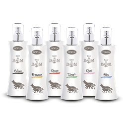 PROFUMI N.12 ASSORTITI     120ML