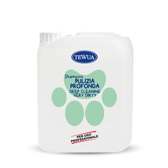 SHAMPOO FORTE PULIZIA PROFONDA 5LT