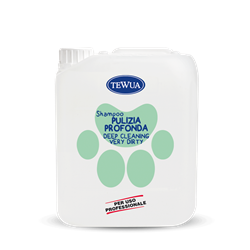 SHAMPOO FORTE PULIZIA PROFONDA 5LT