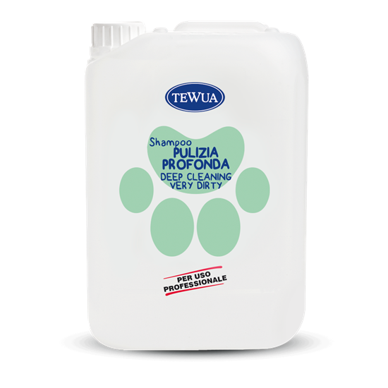 SHAMPOO FORTE PULIZIA PROFONDA 10LT