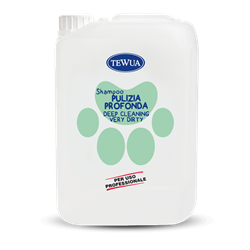 SHAMPOO FORTE PULIZIA PROFONDA 10LT