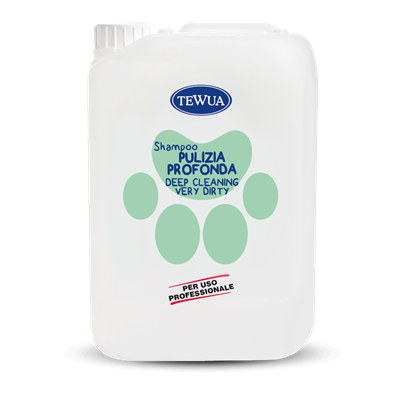SHAMPOO FORTE PULIZIA PROFONDA 10LT