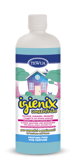 IGIENIX CONCENTRATO PINO      1LT