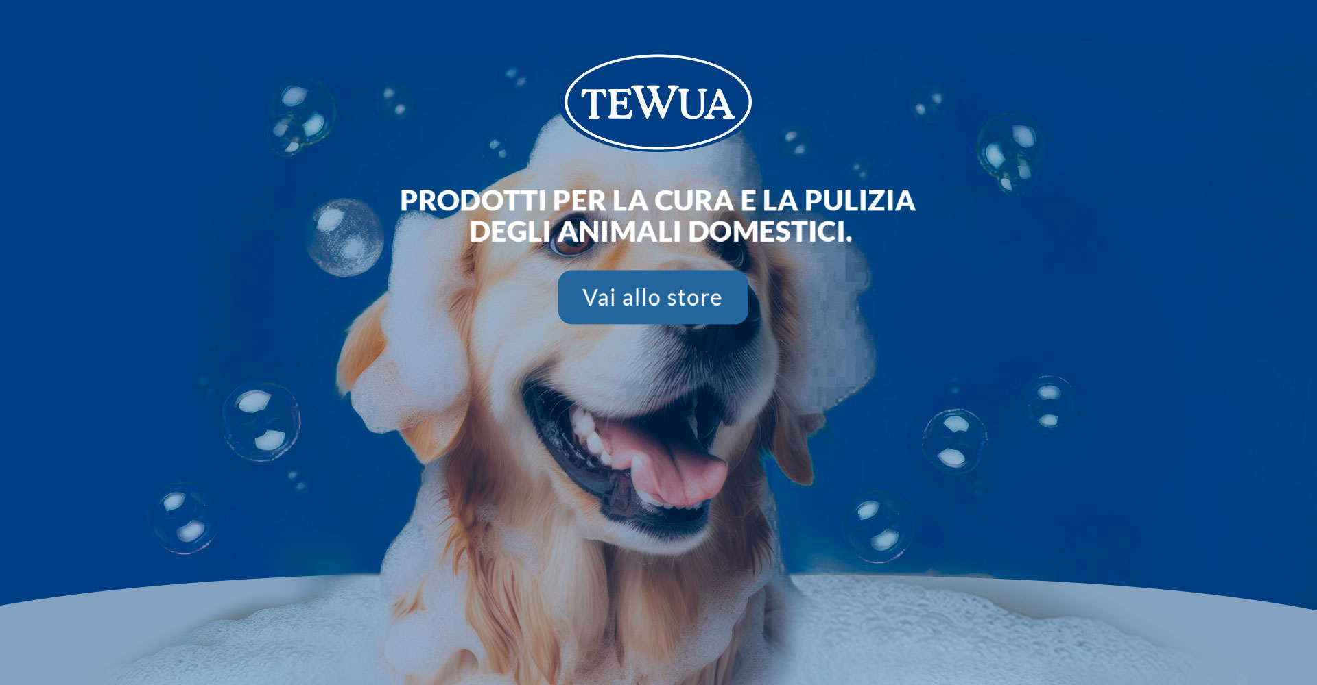 slide-intro-tewua--bassa