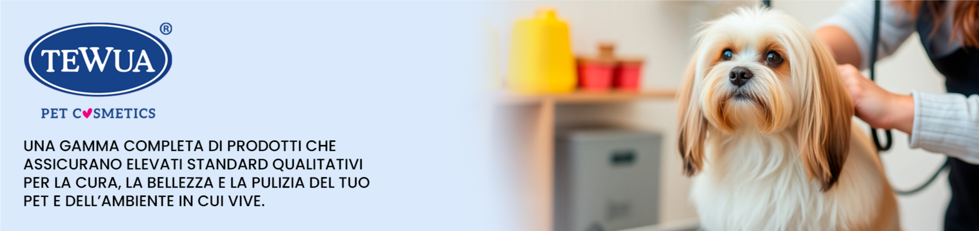 1---banner-footer-tewua