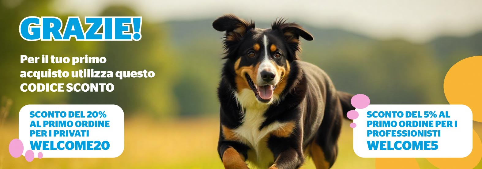 4-4--slide-tewua_-comp