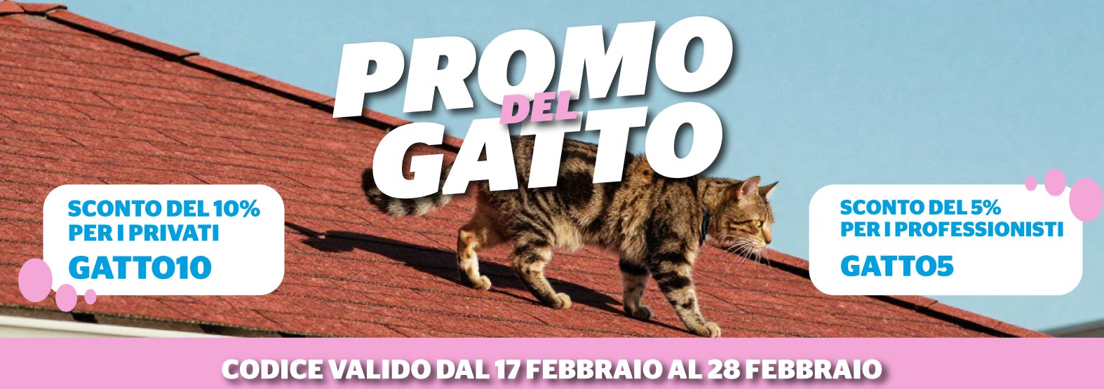 banner-slide-sito-tewua-promo-gatto-