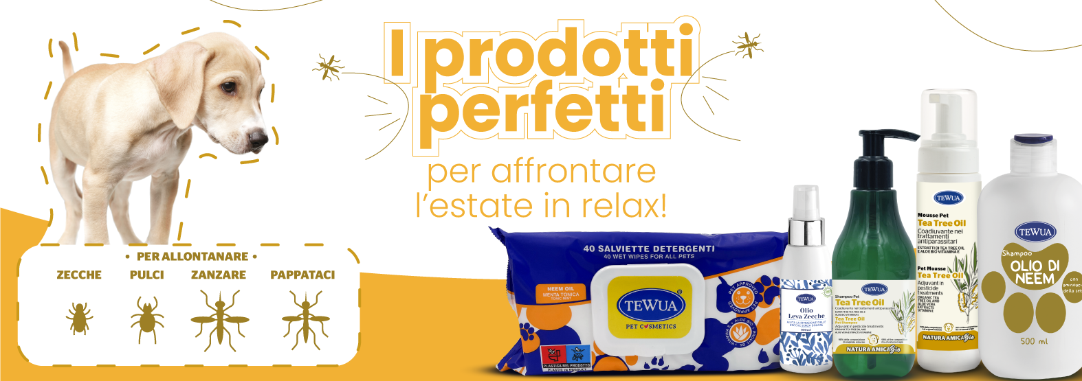 promo-estate
